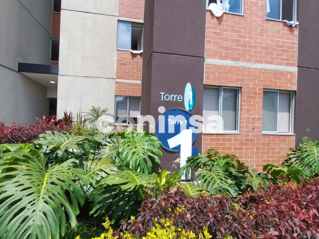 Imagen de Por definir 17