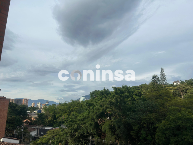 Imagen de Por definir 15